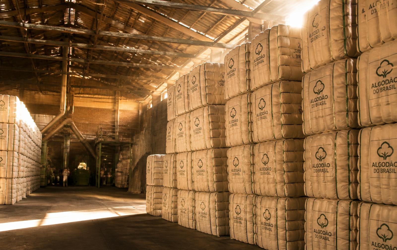Pressed Brazilian cotton bales stacked in a warehouse